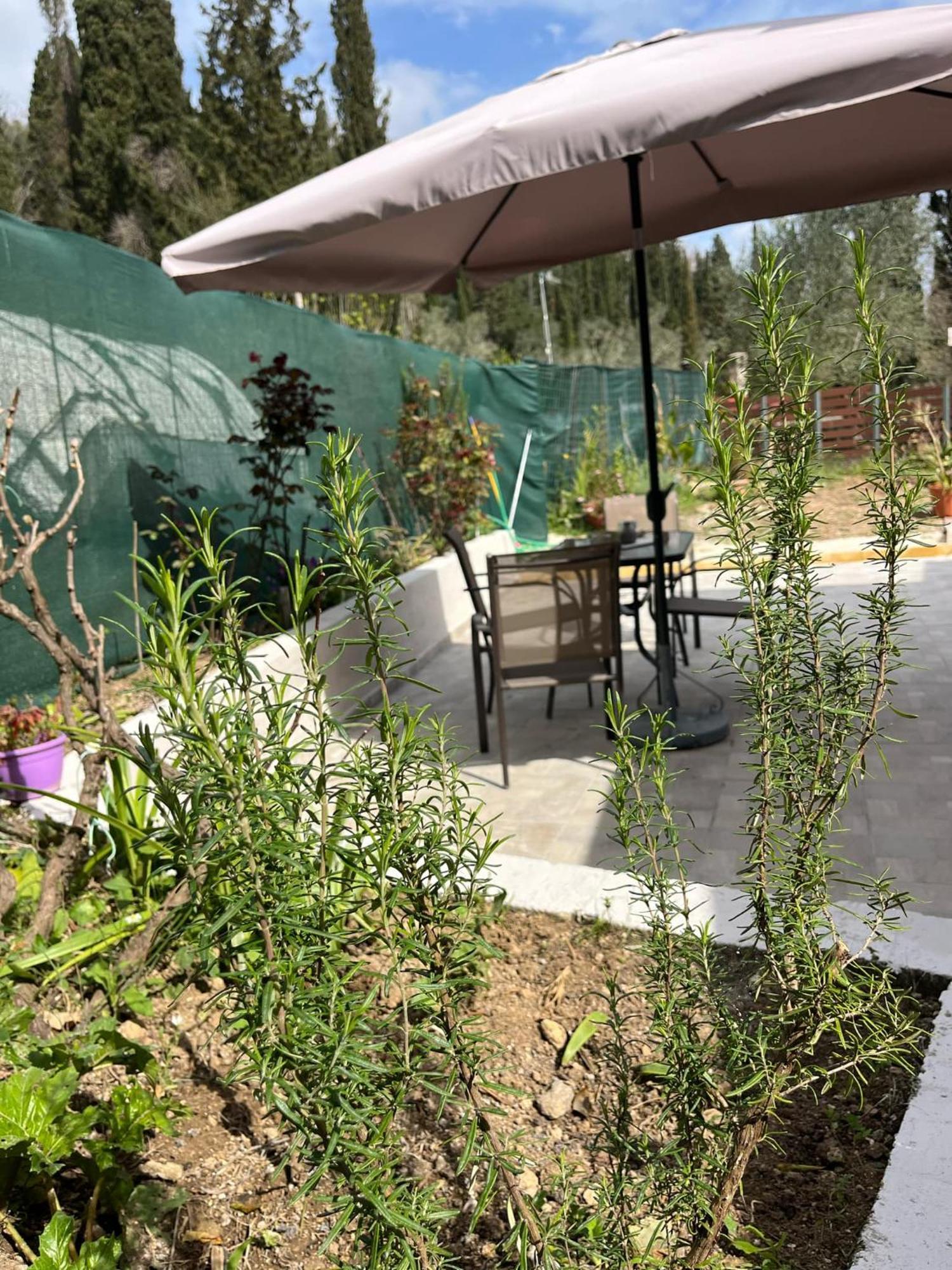 G&Z Cottage Kynopiástai Zewnętrze zdjęcie